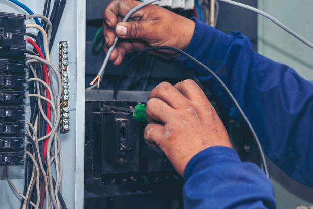 Best Electric Panel Repair  in Mount Zion, IL