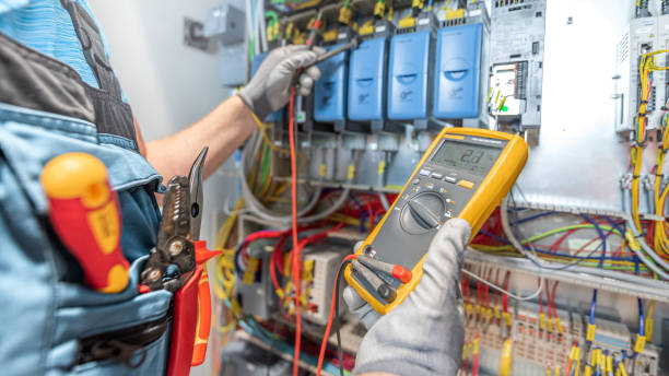 Best Electrician for Home Renovation  in Mount Zion, IL